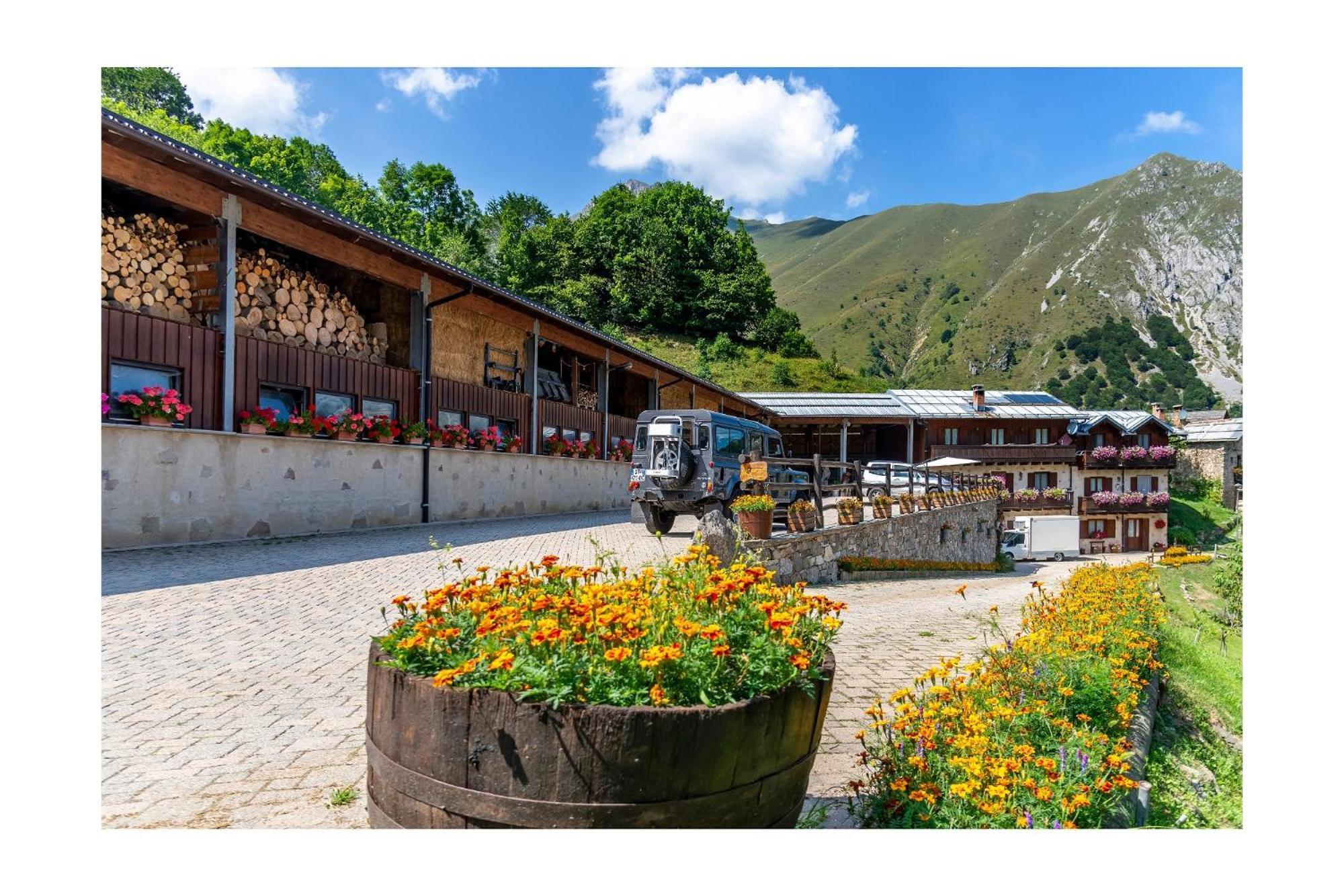 Chalet Bragard Лімоне-П'ємонте Екстер'єр фото