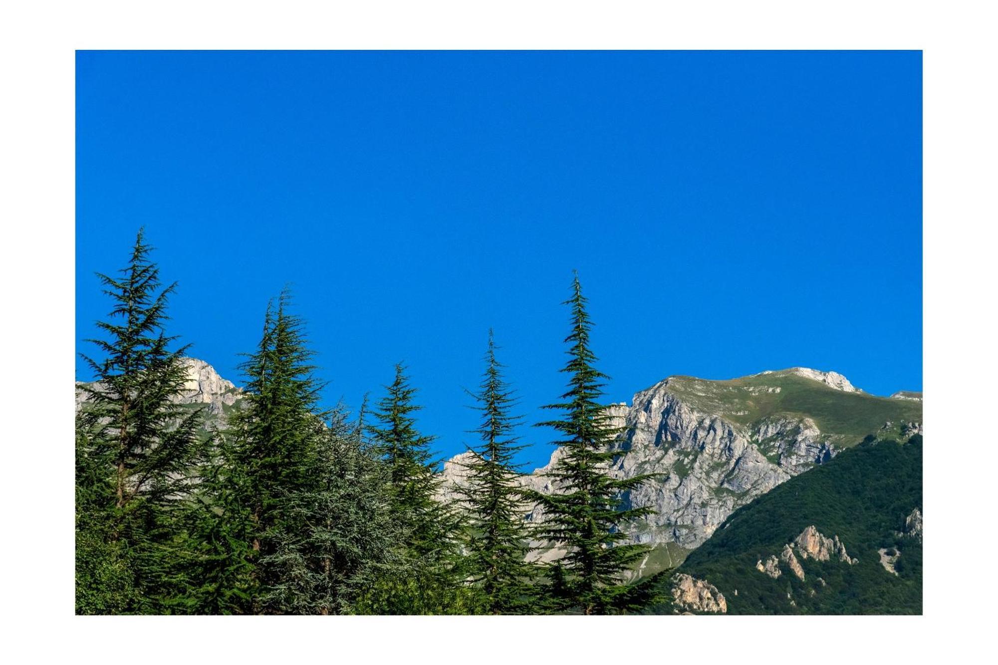 Chalet Bragard Лімоне-П'ємонте Екстер'єр фото